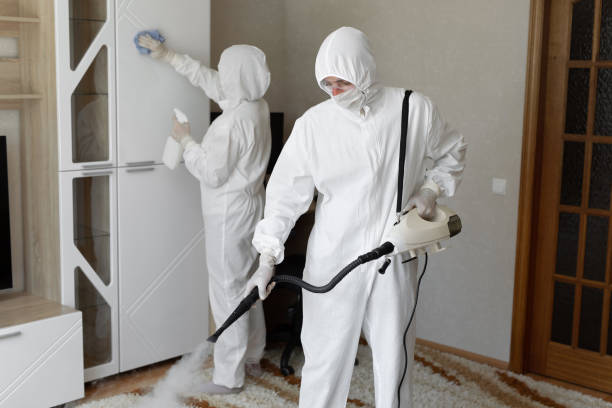 24/7 Emergency Odor Removal experts in Garden City, MI