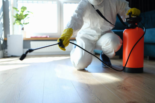 Reliable Odor Removal contractor in Garden City, MI by Trauma Clean Pros